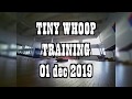 TinyWhoop training