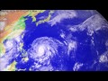 The 2016 typhoon season in the western North Pacific