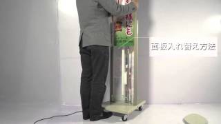 看板通販サインキングダム / 看板 店舗用看板 照明入り看板 内照式 ECO
