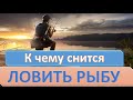 К чему снится РЫБАЛКА (ЛОВИТЬ, ПОЙМАТЬ РЫБУ) | СОННИК