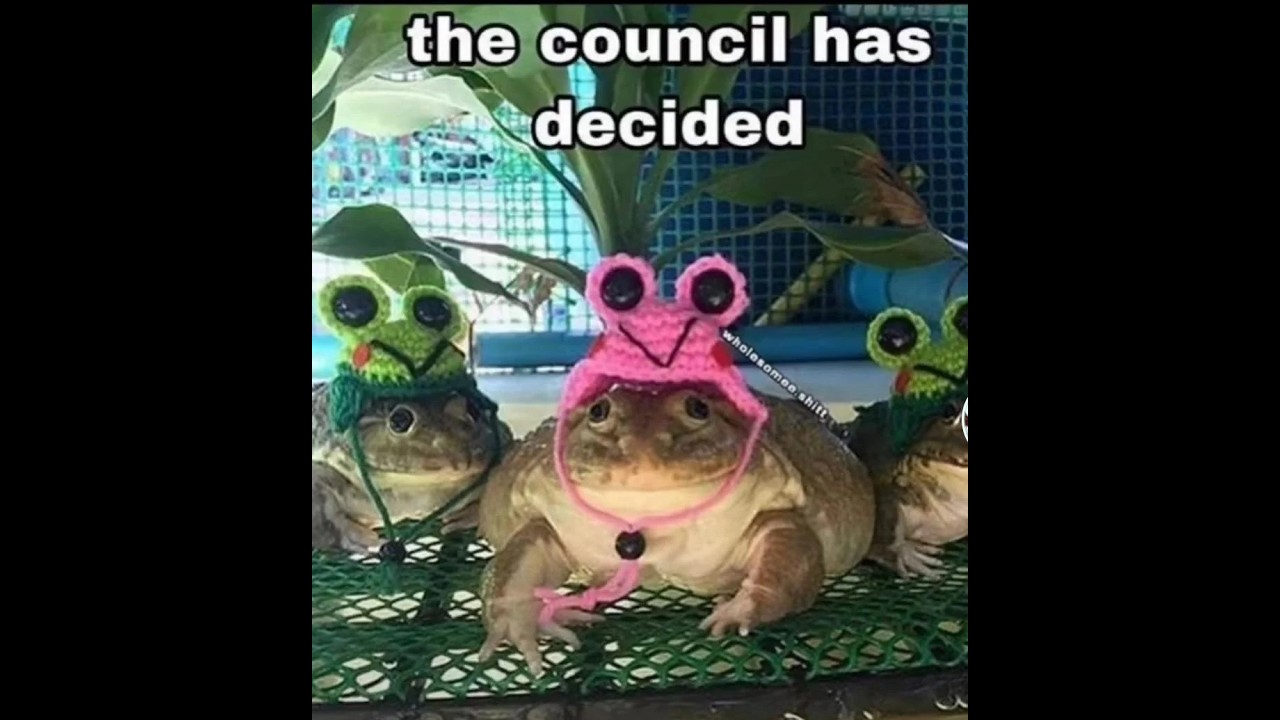 Terrafirmagreg Livestream