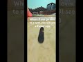 Another secret in True Skate trueskate skateboard 