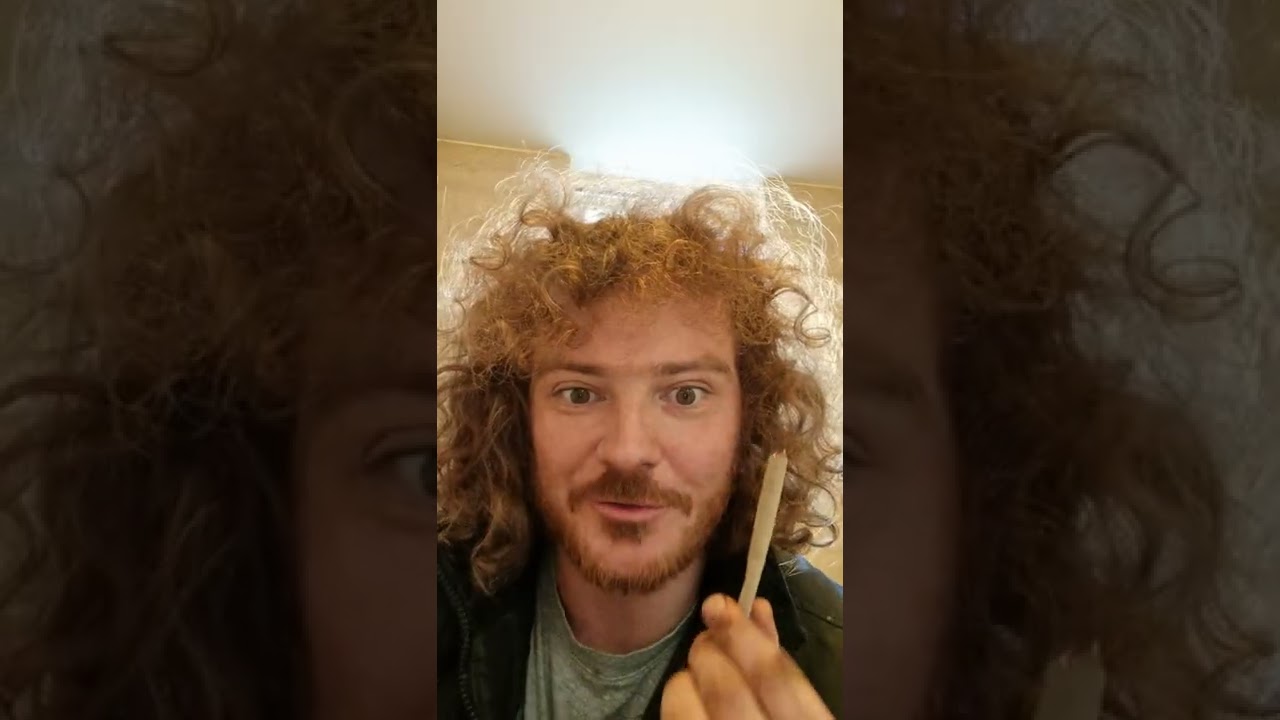 wagyu loose cali Council Estate bang bang rsosos cannabis smoke up and review 420