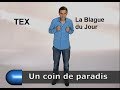 Tex  un coin de paradis  la blague du jour