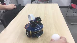 ラズベリーパイ　ロボット（AlphaBot2）を使った円の認識プログラム