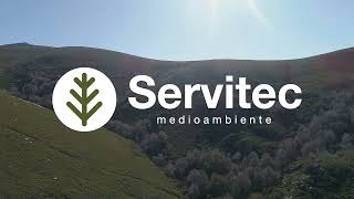 Trabajos de Forestación en monte desarbolado