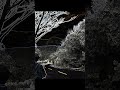 黑白風景(自己拍)