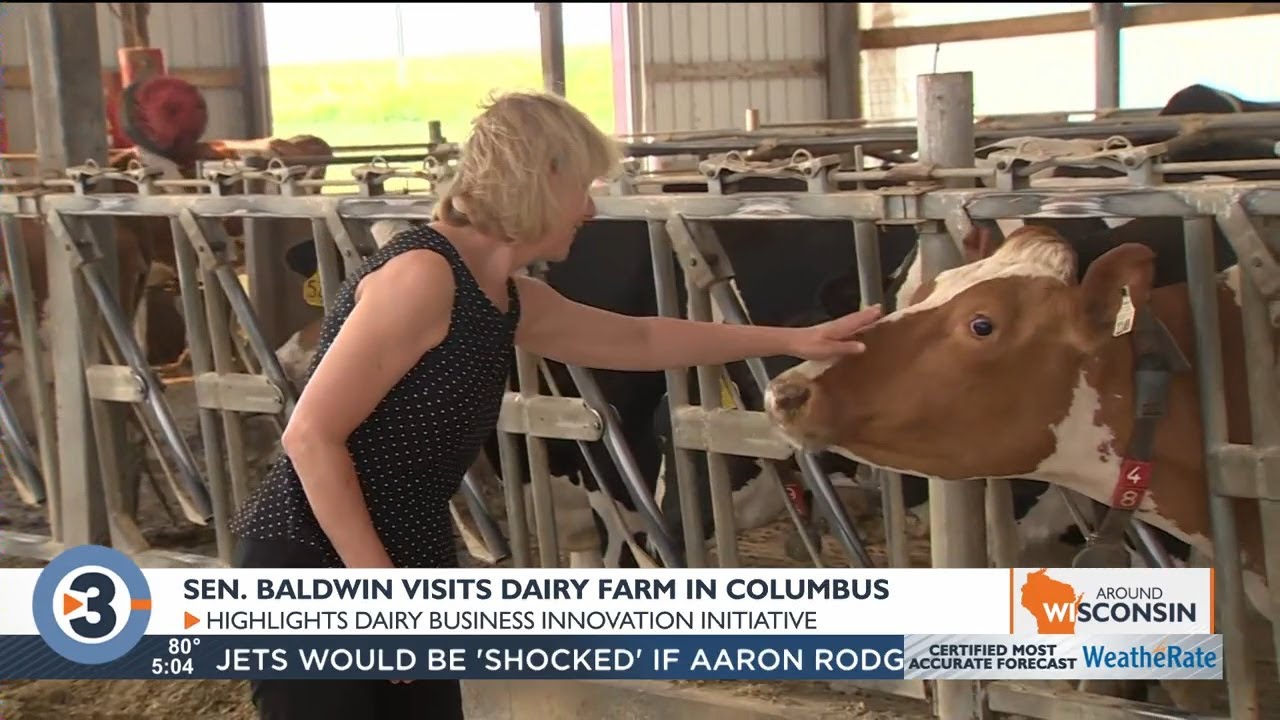 Sen. Baldwin highlights success of Dairy Business Innovation Initiative