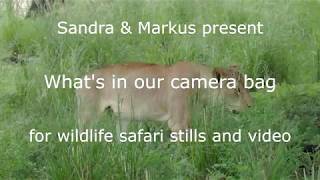 Whats In Our Camera Bag For Wildlife Safari