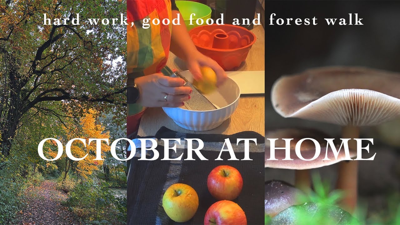 Enjoying October Days 🍁 Baking, Forest Walk and Garden Transformation