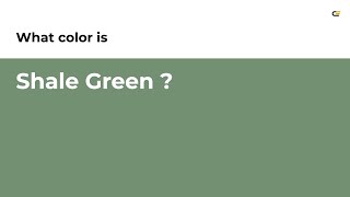 Shale Green color #739072 hex color - Green color - Warm color 739072