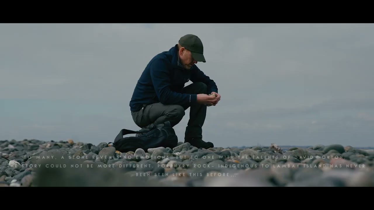 Lambay Unearthed : Unlock The Untold