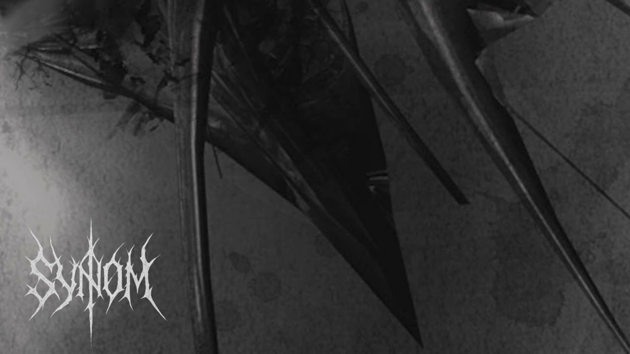 #18 SYNOM Industrial Hard Techno Mix