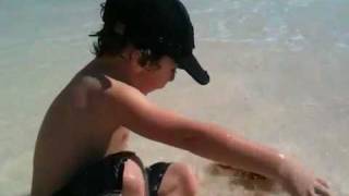 Famous Leviev video file Net Worth