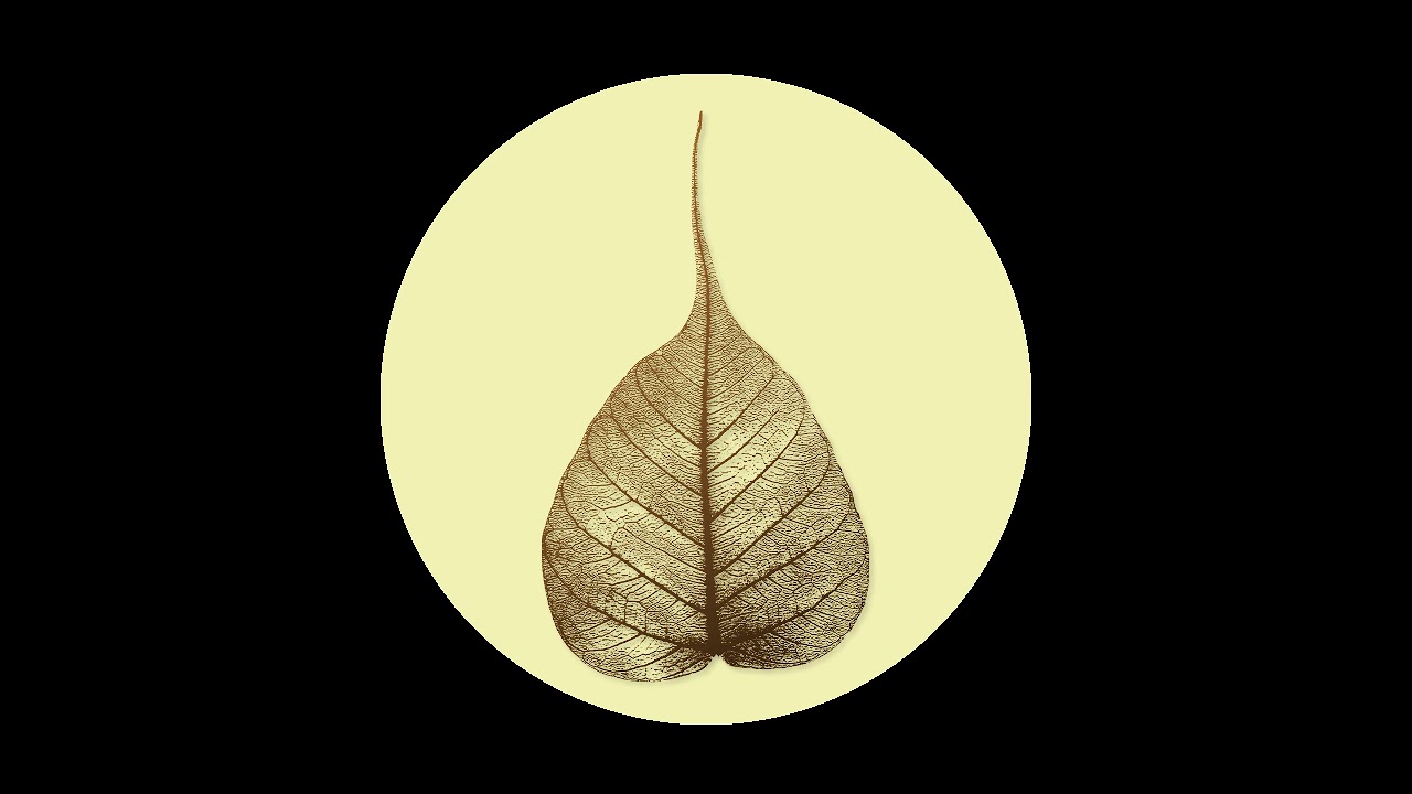 171008 Squeezing Goodness Out of the Body \ \ Thanissaro Bhikkhu \ \ Short Dhamma Talk