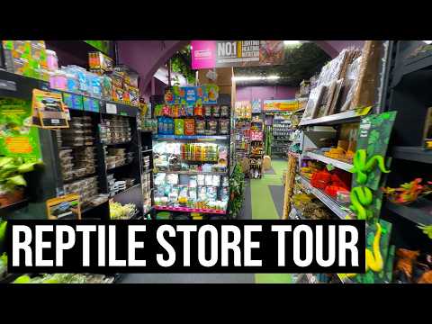 Inside the UK’s Secret Reptile Empire!