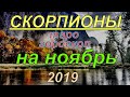 ГОРОСКОП СКОРПИОНЫ НА НОЯБРЬ.2019