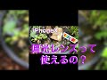 【ビオトープ】iPhoneXに偏光レンズを試してみた