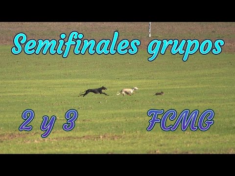 Semifinales grupo 2 y 3 de FCMG en Finca la Piedad, domingo 17 Diciembre 2023