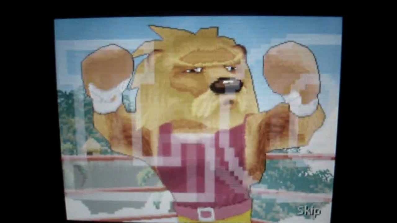 Animal Boxing: Animal Victories