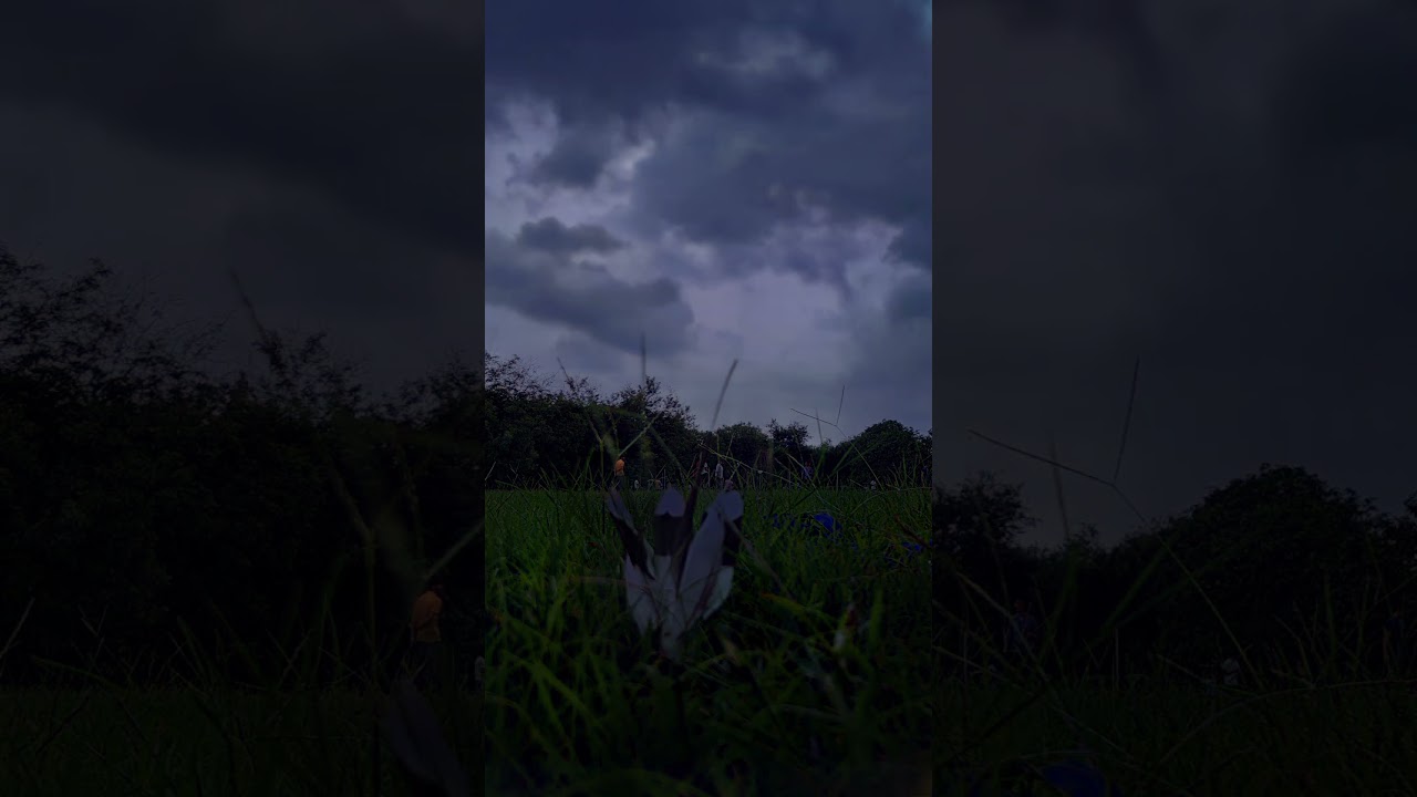 Nature's Palette: A Photowalk Adventure Through Serene Landscapes" #shorts #youtubeshorts #lnmiit