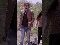 Chamatkaari Heera | Hindi Dubbed South Movie | Reels #fantasy #southmovie #hindi
