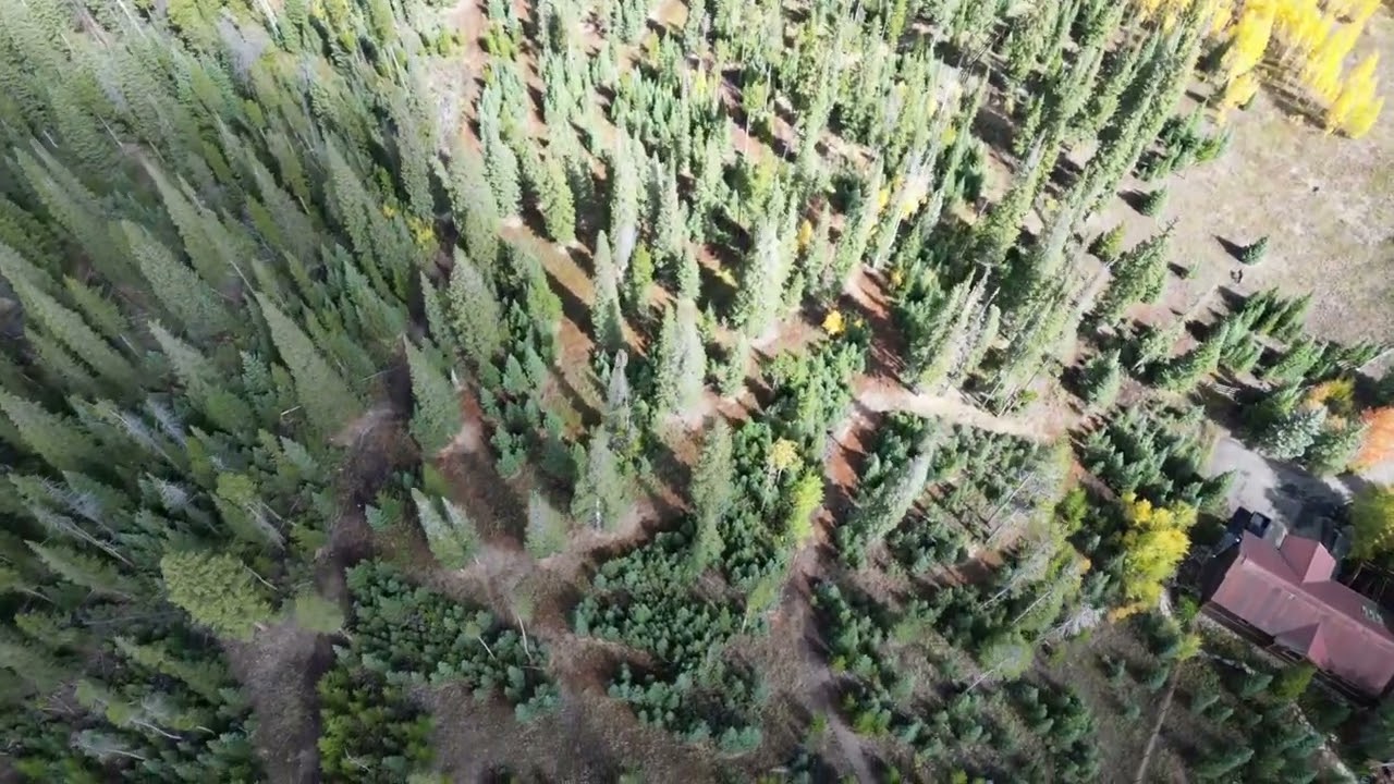 35 Acre Fire Mitigation Project in Fraser, CO (drone  shot) 