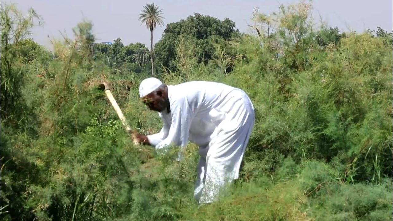Sudanese hope Ethiopian dam ends Blue Nile floods | AFP