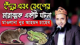 ইঁদুর এবং বেংগের মারাত্মক ঘটনা || মৌলানা নুর আহমদ সাহেব || New Bangla Waz - Ujala Assam
