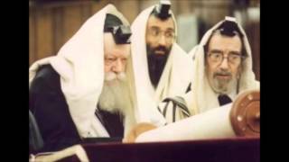 מגילת אסתר נוסח חבד פרק  ב   הרב שוסטרמן