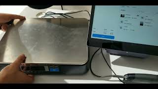 How To Connect Cas Scale To Pax Elys Point Of Sale