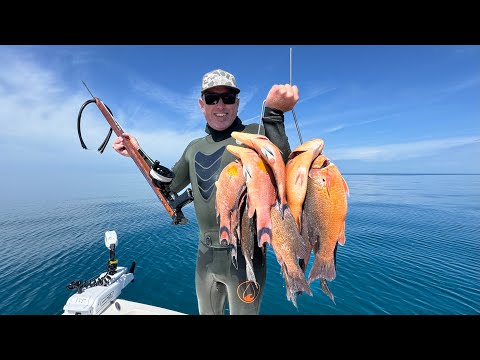 Snapper And Hogfish Catch Clean And Cook (more Fish Than I Could Shoot)
