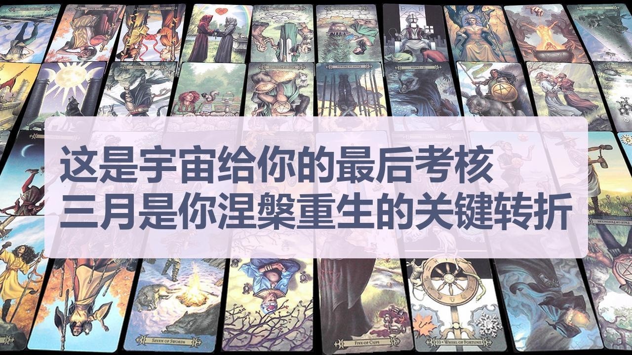 Tarot✨这是宇宙给你的最后考核，三月是你涅槃重生的关键转折