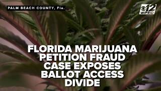 Florida marijuana petition fraud case exposes ballot access divide