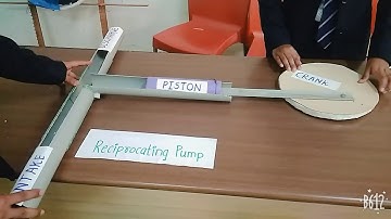Reciprocating pump model
