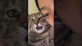 Random animal memes pt 63 #viral #trynottolaugh #memes #funnyanimals #youtubeshorts
