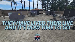 THEY HAVE LIVED THEIR LIVE AND IT'S NOW TIME TO GO