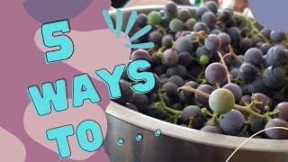 5 of the Best ways to preserve grapes!