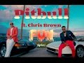 Pitbull - Fun ft. Chris Brown (lyrics)