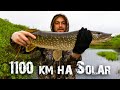 1100 км. по рекам НАО на лодке Солар 520 (ч.2) | Бочка рыбы из ручья | Заброшенный детский лагерь.