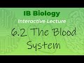 Mr. Leonard's IB Biology Course - 6.2 The Blood System (student handout in description)