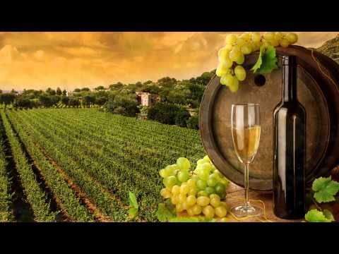 მორის ჯანაშვილი   კინტო