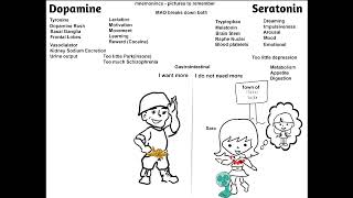 Dopamine vs Serotonin Easy Way to Learn the Difference with Pictures!