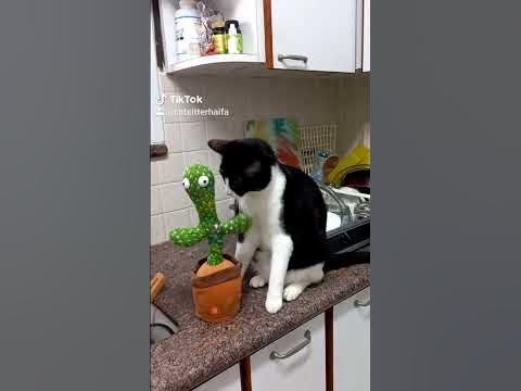 отвали - YouTube