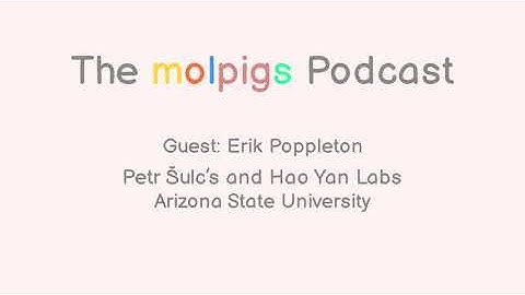 molpigs podcast #6: Erik Poppleton - Visualisation and Simulation of DNA systems