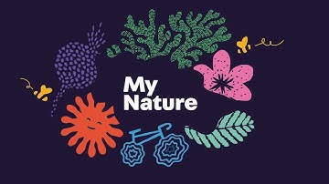 My Nature - Intro Video