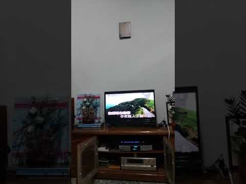 誰能了解我 音樂