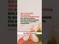 యోహాను 15 : 16#bible #telugubible #dailybiblequotes #jesus #christian #jeevavakyam