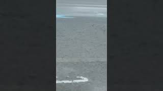 午前6時前から一気に降り出した雨。只今和歌山県みなべ町は本降りです。それまでは雨がなかったのですが。9月11日金曜日