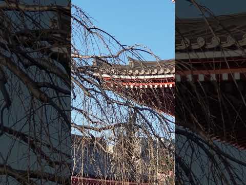 森陽二 - YouTube